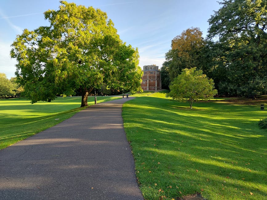 A straight, paved residential street lined with tall deciduous trees on both sides, casting shadows across the road. The trees have fresh, light green leaves indicating springtime. On the right side,