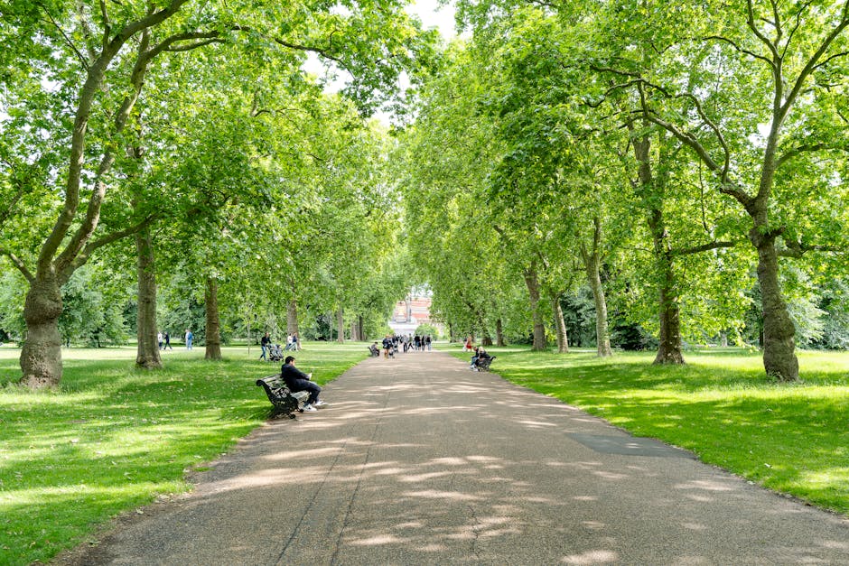 A spacious park scene with a well-maintained grassy area and a variety of mature trees with green and dark purple foliage. Several people are seated on benches and on the grass, some appearing to rela