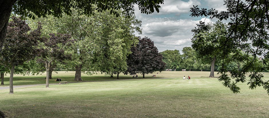 The image depicts a spacious urban park with a large open grassy area surrounded by mature trees with green and dark purple foliage. Several people are seated on benches along the periphery, some appear to be resting or relaxing. In the foreground, the branches of a tree extend into the view, framing the scene. The sky above is cloudy with patches of sunlight filtering through, creating a soft light across the landscape. The park's environment suggests a quiet, well-maintained space suitable for leisure activities. This setting could be part of a home relocation process, where furniture and boxes are transported into or out of nearby properties, possibly involving the use of a man and van service like Man and Van Ravenscourt Park, who handle residential removals and furniture transport within the area.