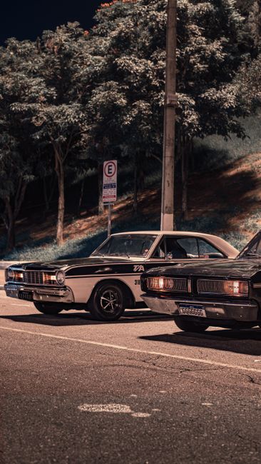 Two vintage cars are parked side by side on a paved street, with a backdrop of a grassy hill and trees with dense foliage. The car on the left is a classic model with a light-colored body, possibly be